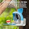 Sovmiku FCG6 AI Bird Feeder with 2K Camera Squirrel Feeder Bird Identify Hummingbird attractant Motion Detection Two Way Audio Real Time Views and Notifications SD Slot Ideal Gift for Bird lovers